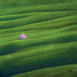 Nuvole nel verde