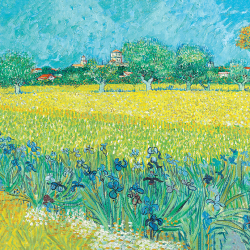 Campo con iris vicino Arles