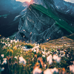 Montagna Svizzera