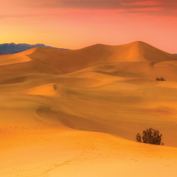 Deserto in California