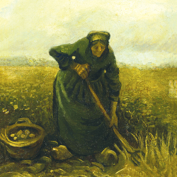Donna che raccoglie patate