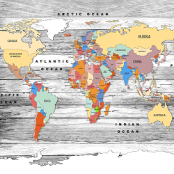 Mappa del mondo su Tavole di legno GRIGIO