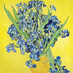 Vaso con fiori blu