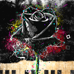 Street Art - Black rose
