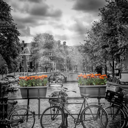 54 - Paesaggio Urbano - Amsterdam Cityscape