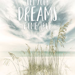 162 - Parole - Let your dreams come true  Oceanview