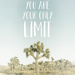 163 - Parole motivazionali - You are your only limit - Desert