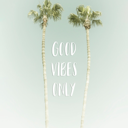 167 - Parole - Good vibes only Palm Trees