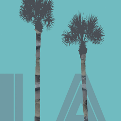 180 - Città - Palm trees LA turquoise
