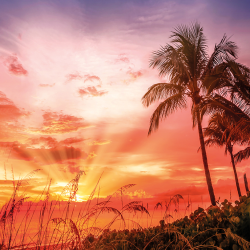 Paesaggio natura - Bonita beach picturesque sunset