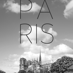 254 - Città - Parigi - Cattedrale Notre Dame