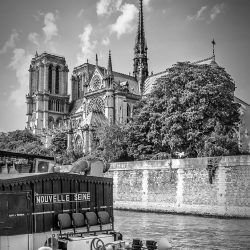 483 - Città - Cathedral Notre-Dame - BW