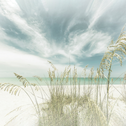 525 - Summer - Heavenly calmness on the beach Vintage