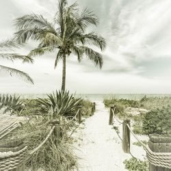 530 - Summer - vintage path to the beach