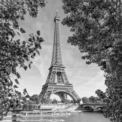 492 - Città - Paris Eiffel Tower BW