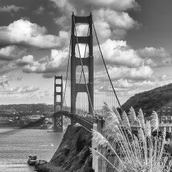 494 - Città - San Francisco Golden Gate Bridge - BW