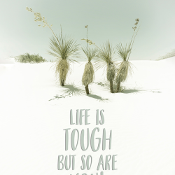 165 - Parole - Life i tough but so you are - Desert