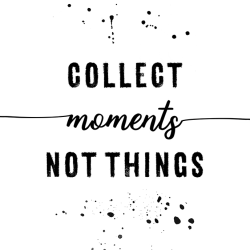 266 - Parole - Collect moment not things
